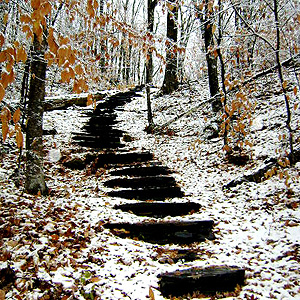 1bcb1147a46e2fa4-landowners