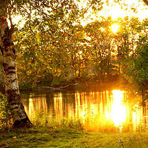 2c7976224854b385-qgrantsLMFrv