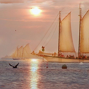 2f626adca3ea9d5b-ship