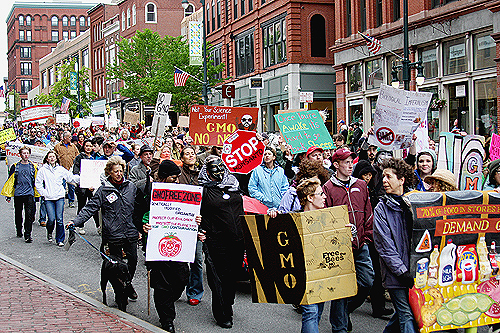 321a3af6d8300ceb-wmon1