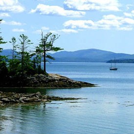 386dbd523dcf9d5e-JLMF