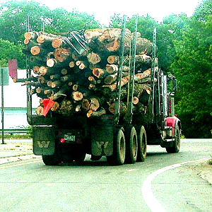 7954d9c67737dbd3-qloggingtruck