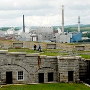 93e76ed2193ef60c-SULFUR