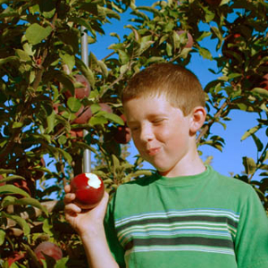 a541e065c30efe7b-za5