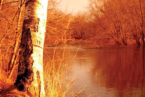 faad23e5d492fa53-nriver2