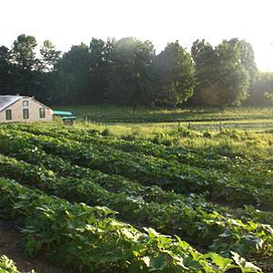 fe8ccdc6b44815f9-img_4611