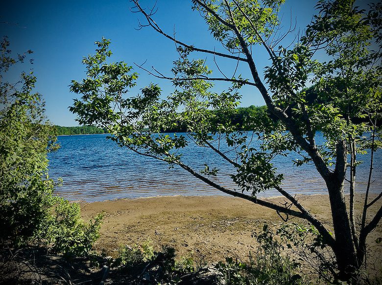 Screen Shot 2020-06-17 at 11.00.10 AM