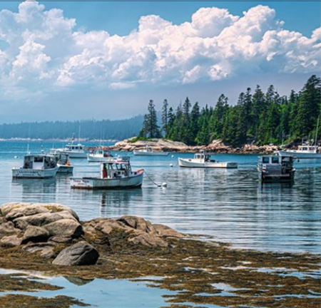 Screen Shot 2020-06-27 at 5.24.34 PM