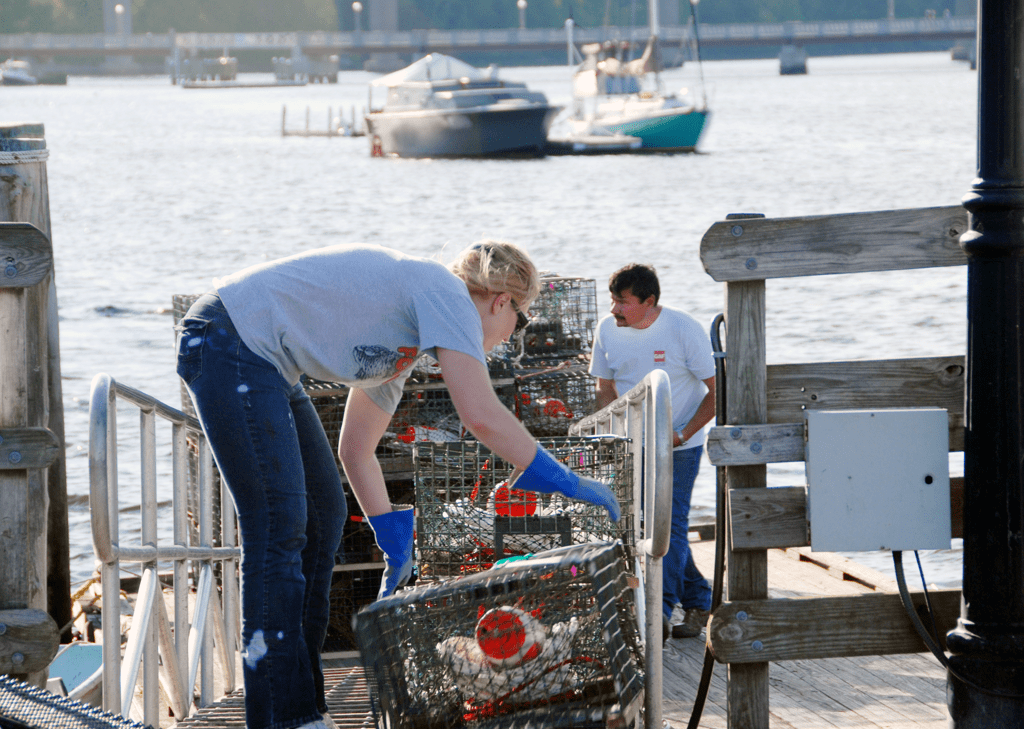 a79f96ed1f6d4018-ScreenShot2019-03-20at34149PM