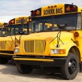 school bus