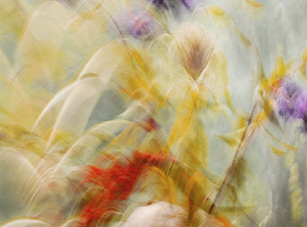 screen-shot-2021-05-08-at-11.40.12-am