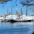 img_8410