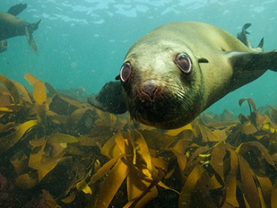Climate, ocean research slashed under proposed NOAA&nbsp;budget